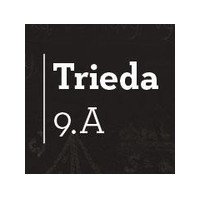 Trieda 9.A – rozhovor s matikárom